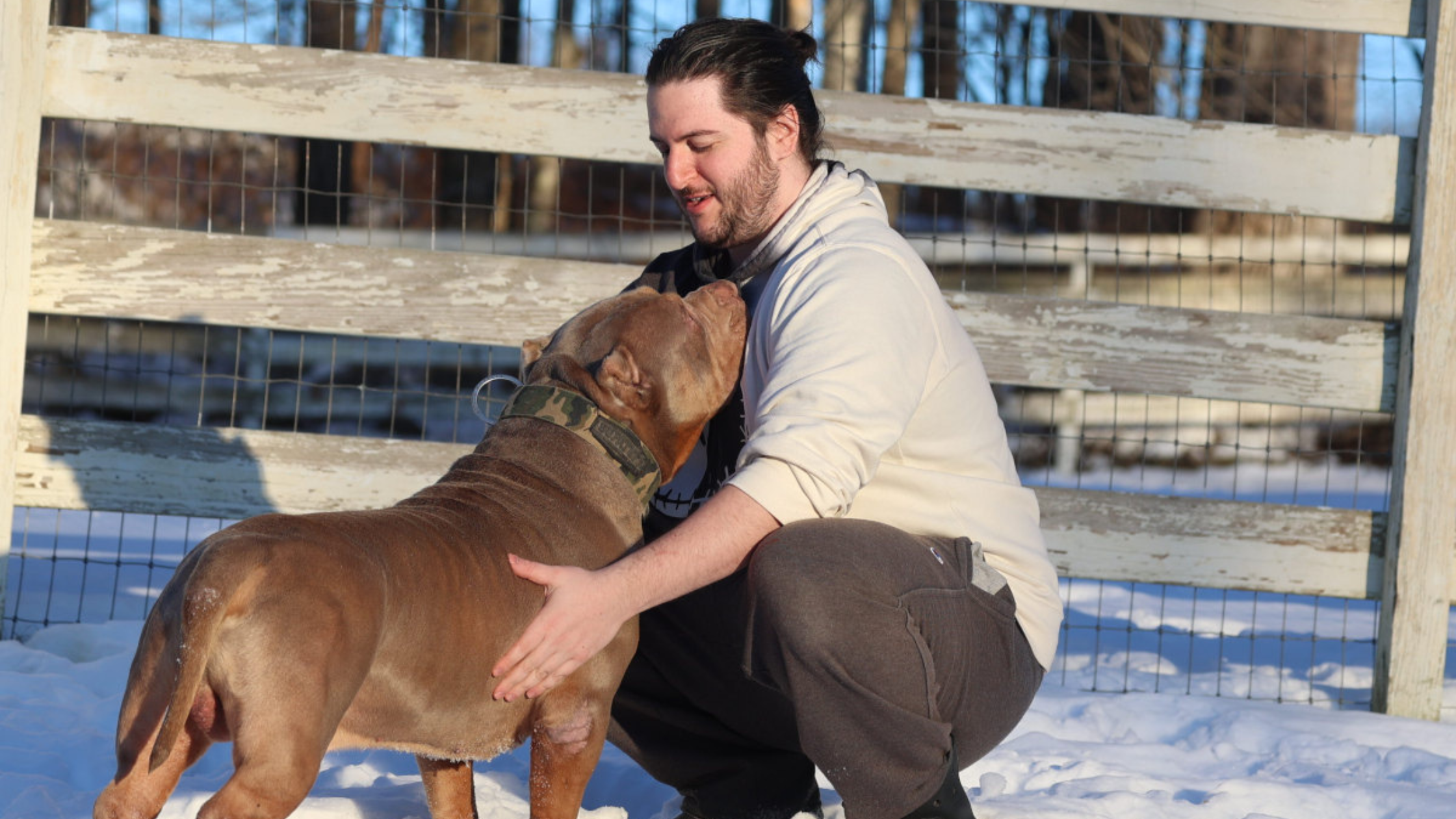 Dog Obedience Training Westchester, NY