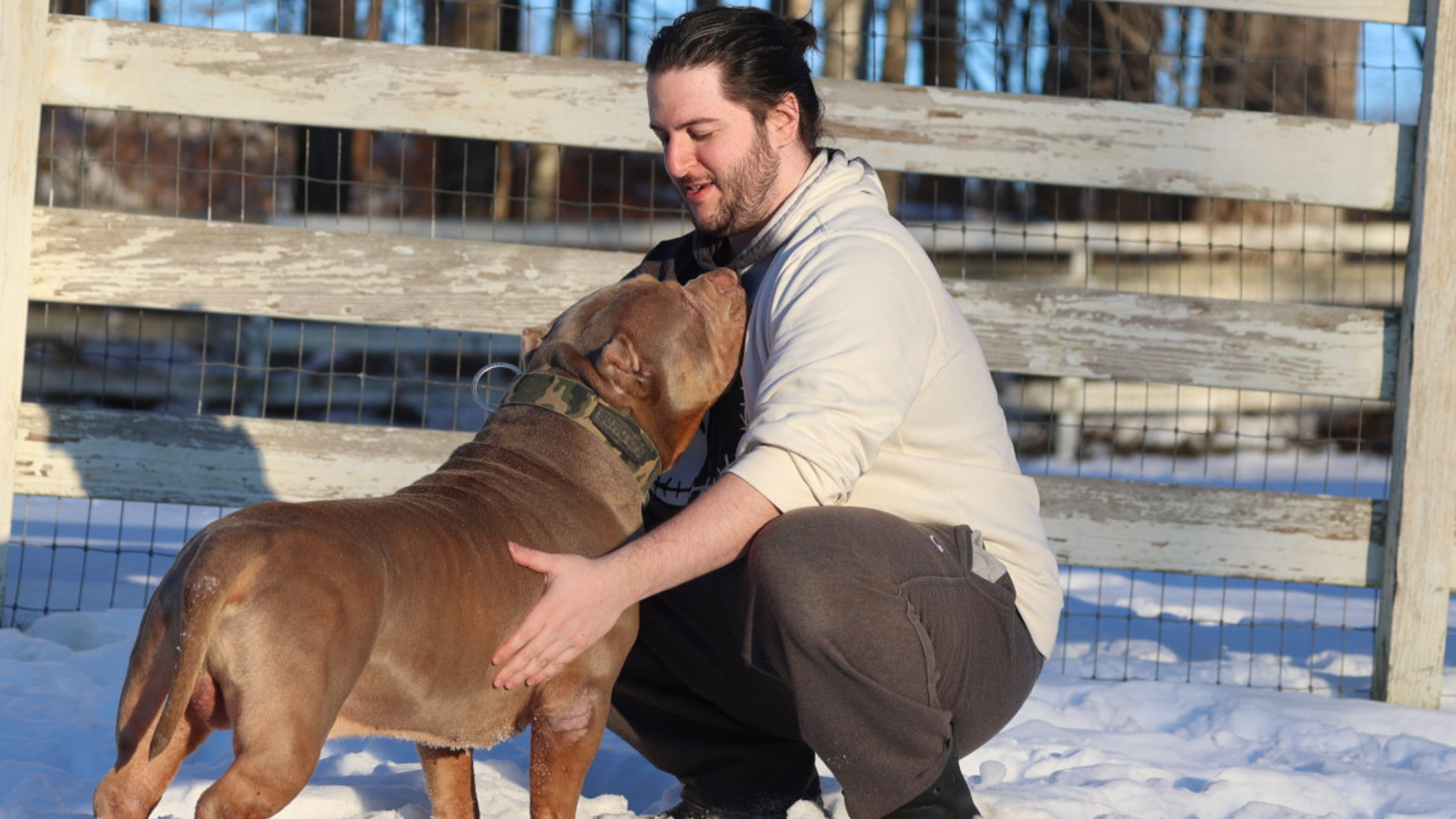 Dog Training Westchester County